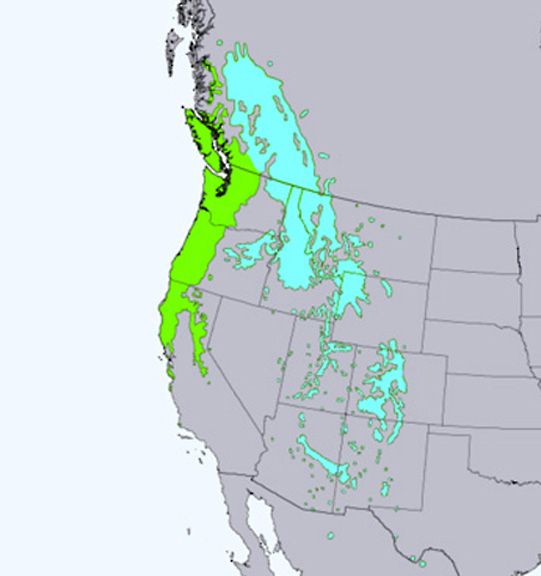 range map graphic